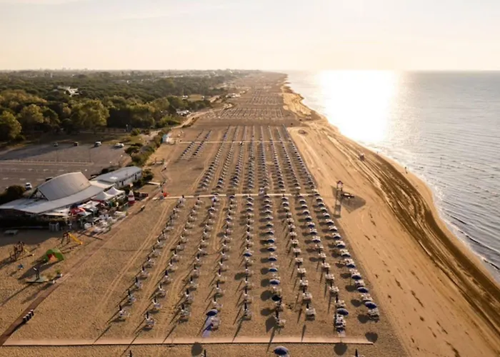 Sunny Family Steps From The Daire